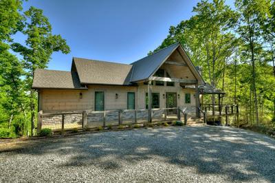 4 Dancing Bears- Mtn Views Hot Tub Custom Design