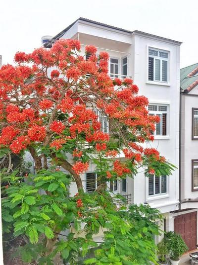 khách sạn Tuân Thủy đảo Quan Lạn