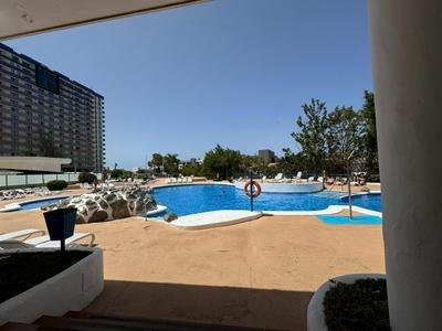 Paraiso Del Sur Tenerife -The swimming pool is under reconstruction