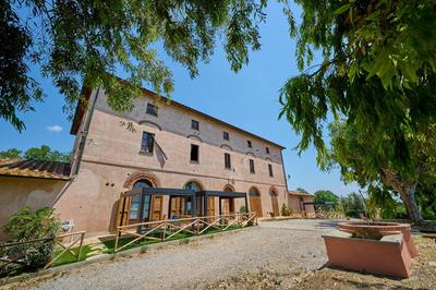 Poggio alle Forche - Sole