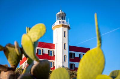 Faro Capel Rosso
