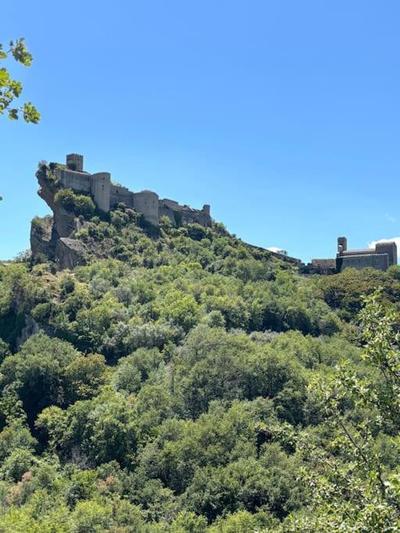 La Ginestra