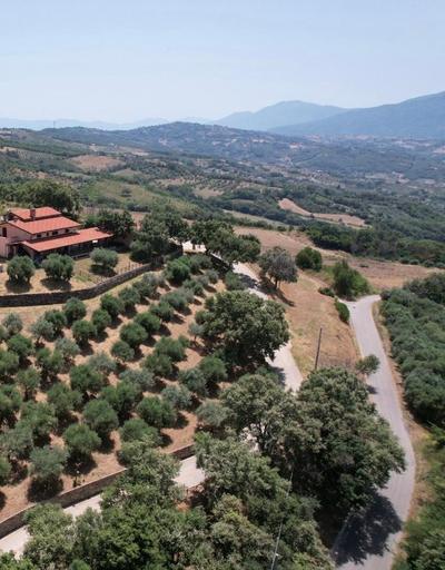 Tenuta Raimo