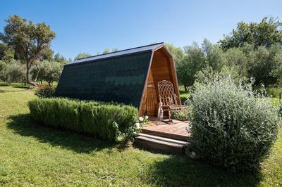 Villa Beach House Olive