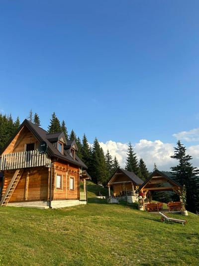 Čakorski konaci