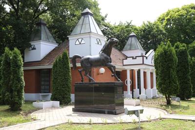 Miznah Hotels & Resorts