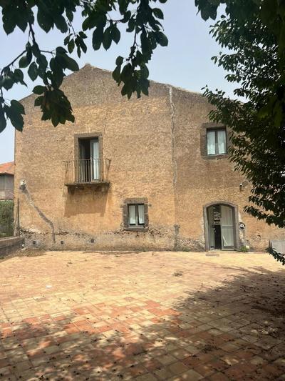 La vigna di Maggi