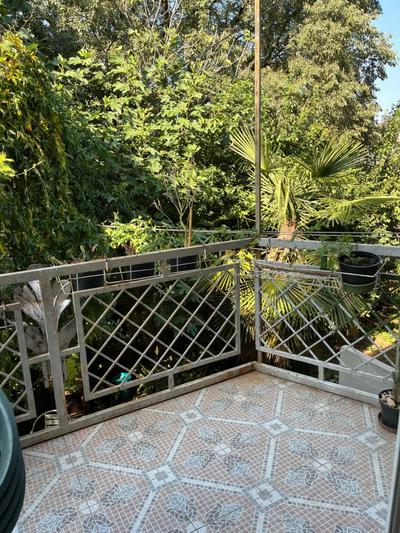 Zeleni Apartman