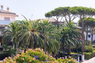 Santa Marinella by Rental in Rome