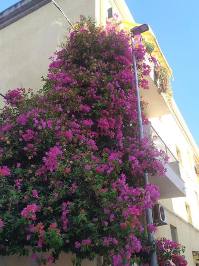 LorMar House