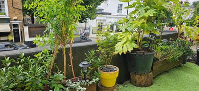 Lovely apartment in Barnes and garage
