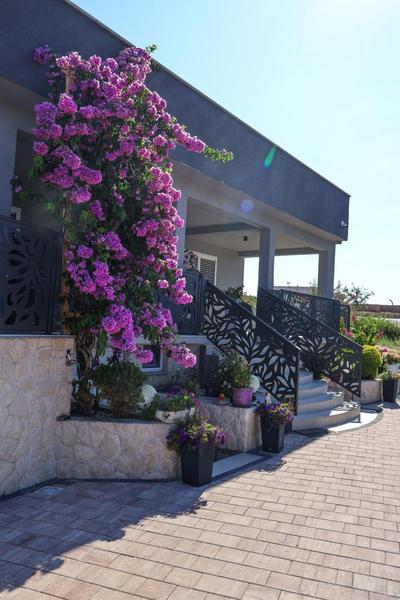 Villa Dalmatia with pool
