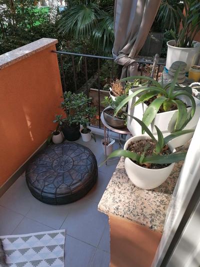 Apartman Zamet