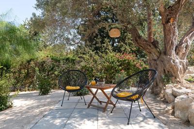 Villa Olive
