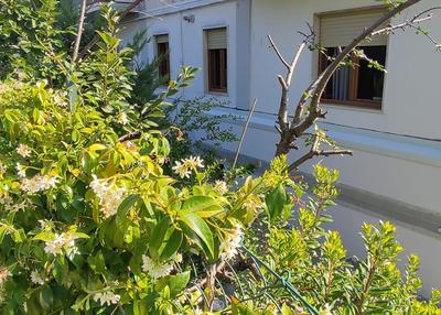 Casa alloggio Aprìco - abitare il relax in città