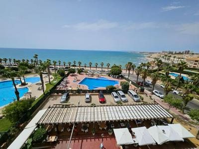 Palm Street Cabo Roig