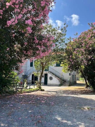 Appartamento in casa bifamiliare con giardino
