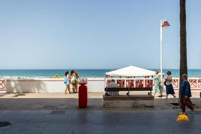 Delfin Azul by Cadiz Time