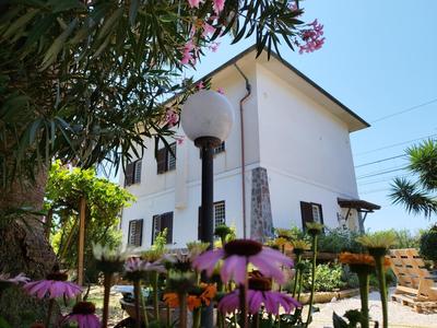 La Domus di Cosa
