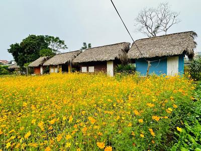 Lương Sơn Homestay