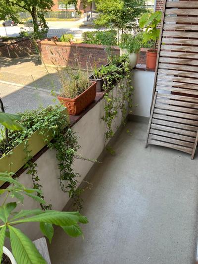 Zwischen Stadtpark und Alsterlauf Low Budget