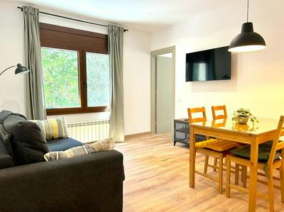 Apartament modern amb terrassa by RURAL D'ÀNEU