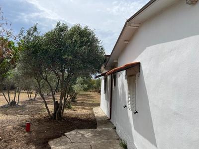 Maria's Summer House