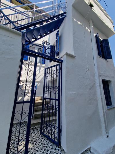 The Blue House