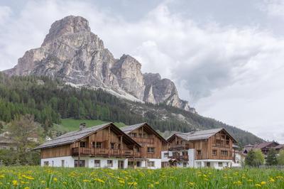 Chalet Ciasa Tino & Sara - BelaVal Apartments