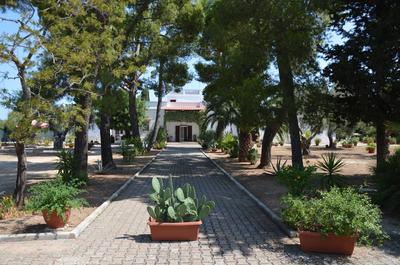 Casina Lupis