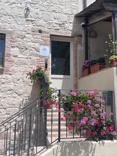 Il Fiore del Conero