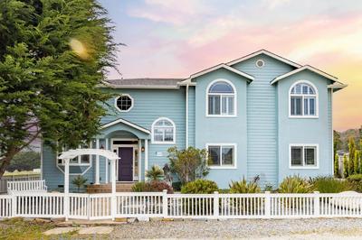 Coastal Dream - 2 Blocks to ocean steps to beach coastal trail BBQ