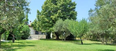 Lidden tree cottage