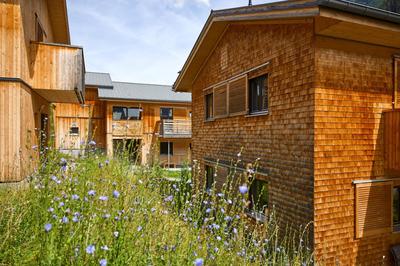 Chalet Resort Montafon I - Chalets & Chalet-Apartments