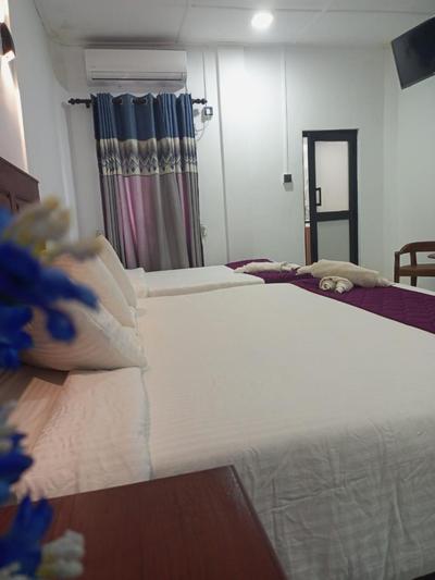 Mannar Coccos garden