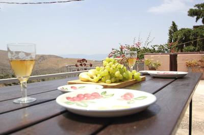 Olive house by Frangki