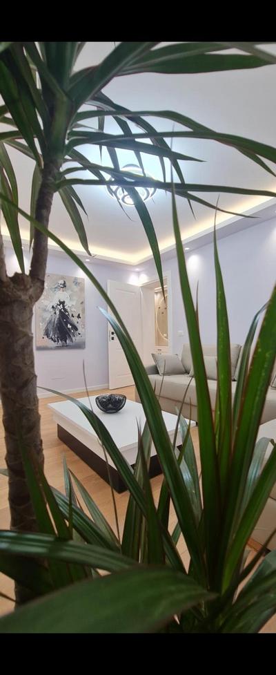 Abla's sweet home