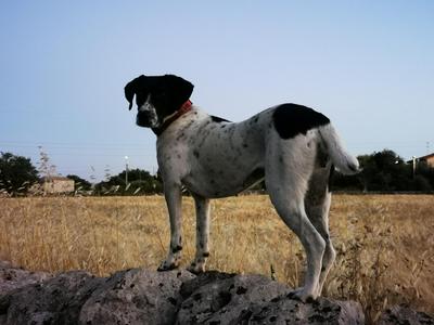 In campagna al Mauto