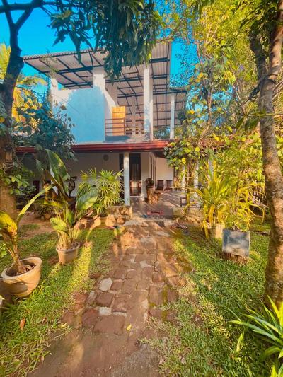 The Grandiose Safari