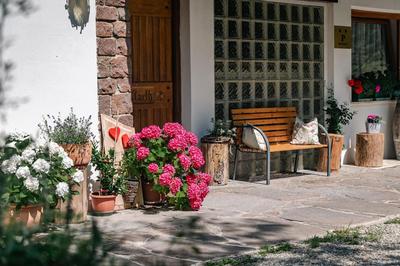 Ursulas Idyll