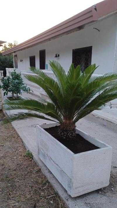 Villa Laguga