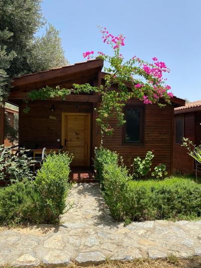 Suzi'nin Bahçesi Bungalov Evler