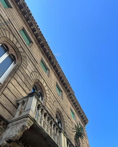 Il colibrì