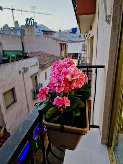 Apartamento Casco Antiguo Benidorm