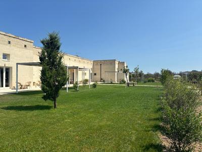 Agricola Bellisario