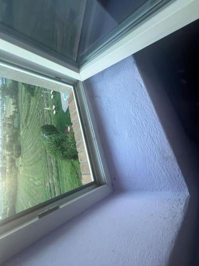 Nido nel verde