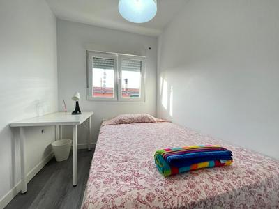 Habitación paloma