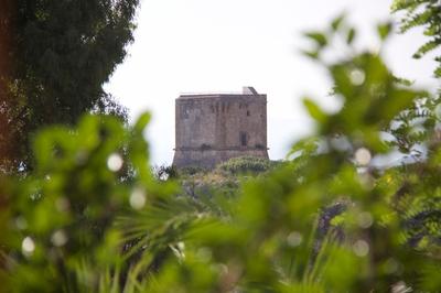 Villa Hibiscus Scopello