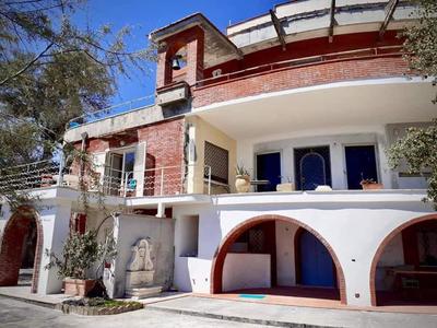 Sapore di mare - Appartamento in Villa sul mare pet friendly