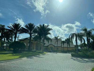 Palms of Paradise!